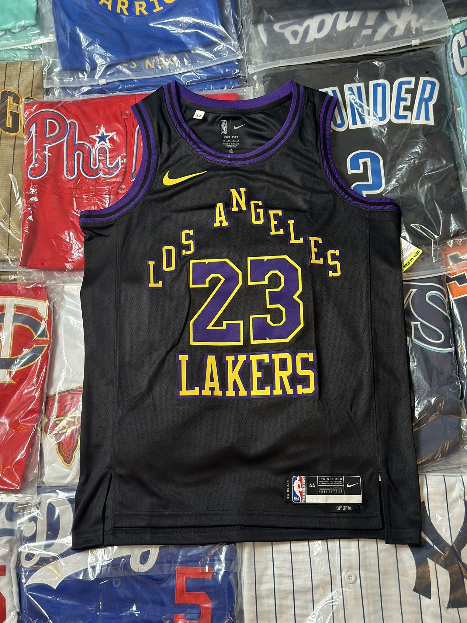 Los Angeles Lakers, Lebron James