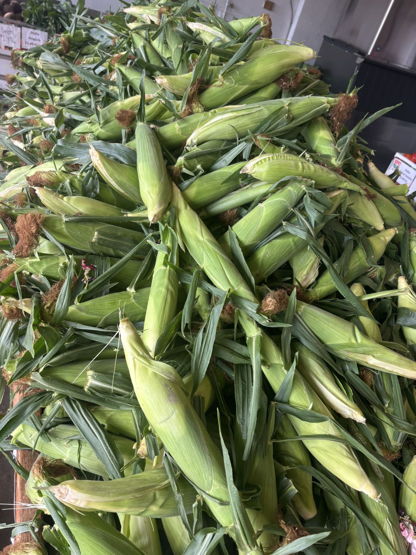 Fresh White Corn For Bags