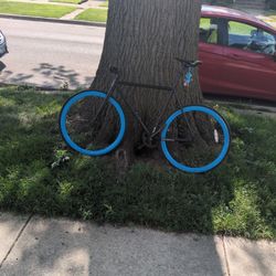 Used Fixie