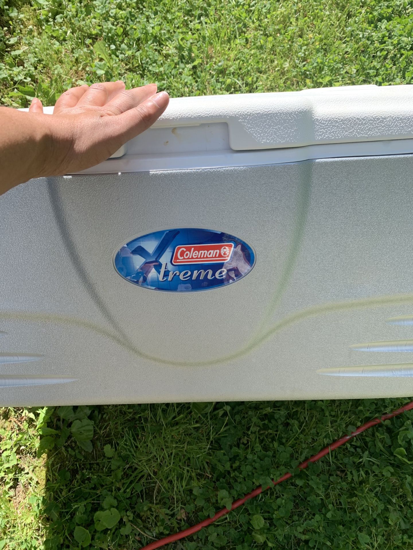 30 Quart Coleman Cooler