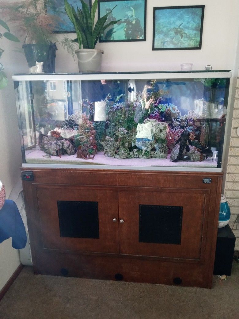 120 Gallon Aquarium Stand And Filter System
