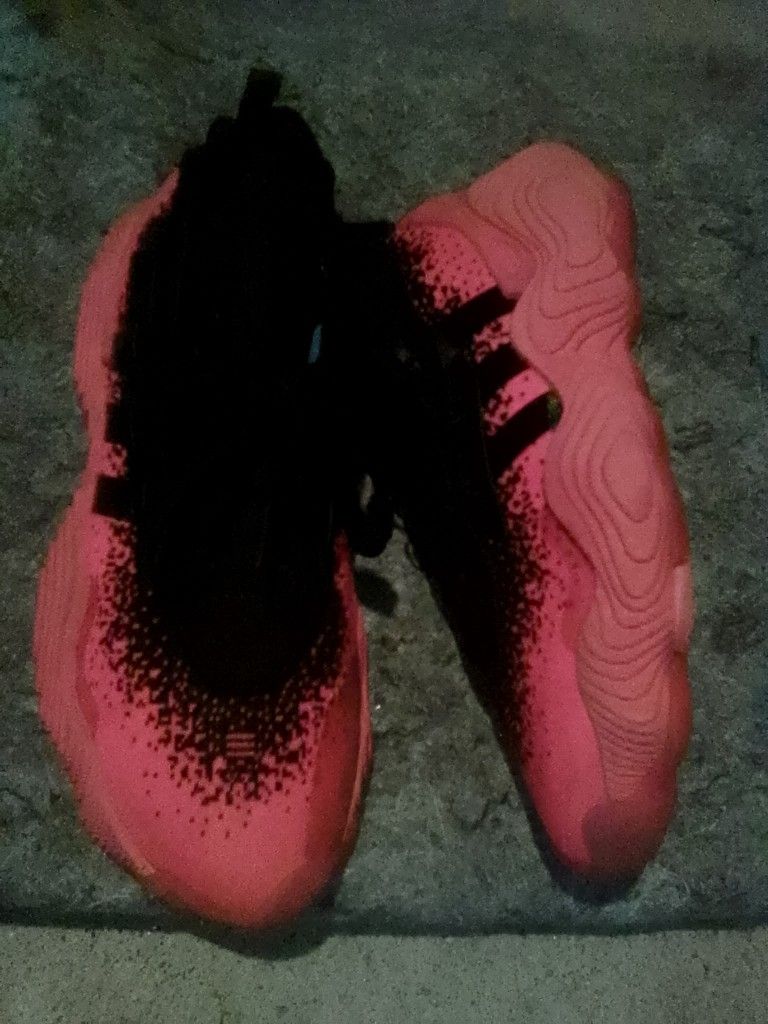 Trae Young , Adidas Blood Orange