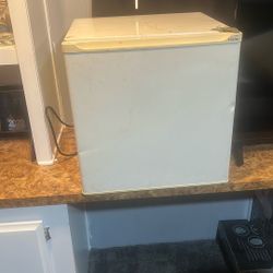 Hair Mini Fridge