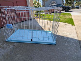 White and Blue Dog Kennel