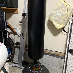 Standing punching bag with gloves
