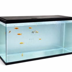 55 Gal Tank Includes Substrate, Sand, Rocks And Fishes With Snails. 