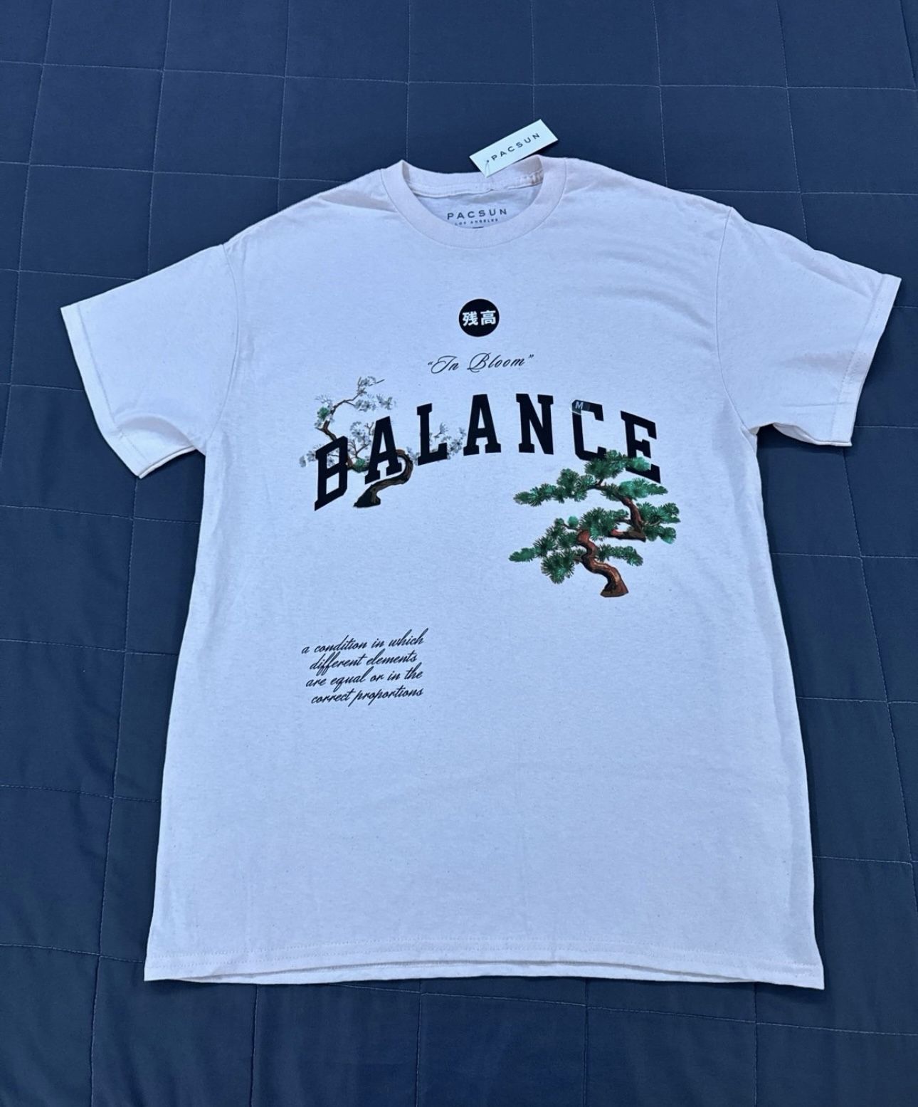 Pacsun Graphic T-Shirt M, New with Tags