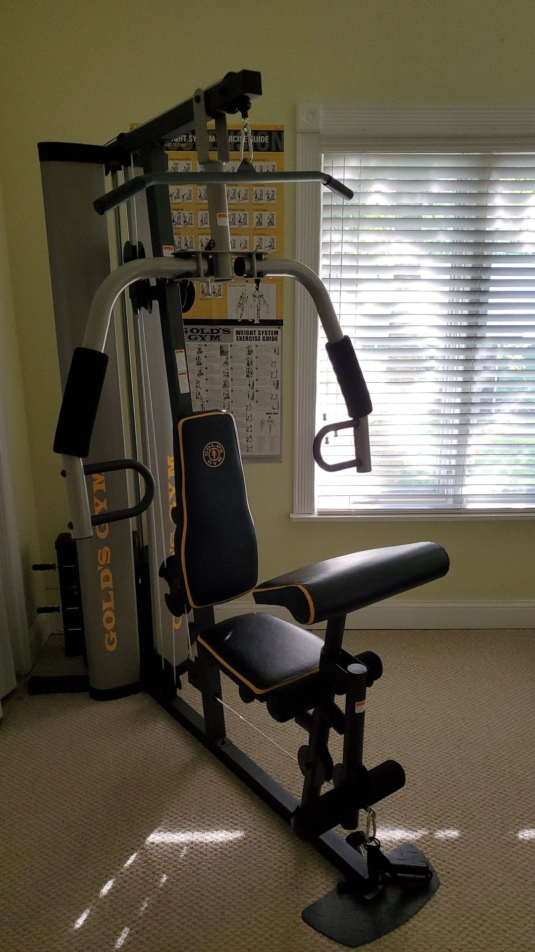 Gold's Gym - Home Exercise Machine