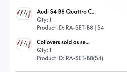 Audi s4 raceland coilovers