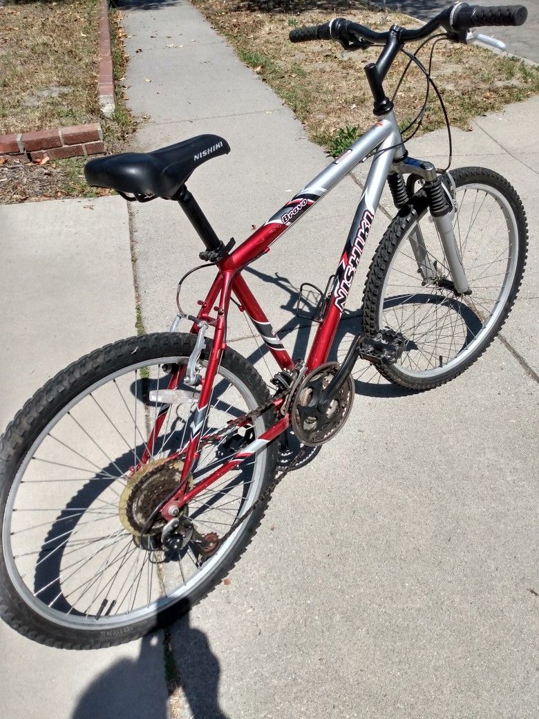 Clean Nishiki Bravo, Just Tuned Up