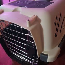 Pet Taxi