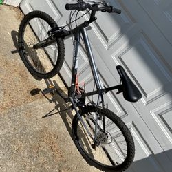 Roadmaster Bicycle