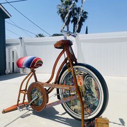 Schwinn stationary bike custom