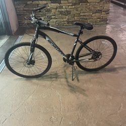 Male & Female Bike