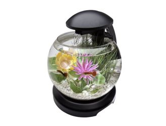 Globe tank, fall, night light