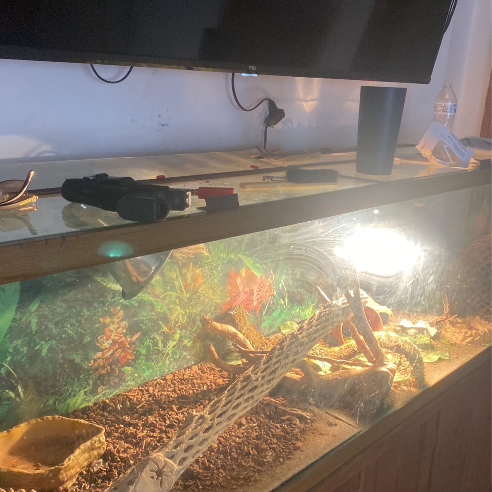 Fish Tank