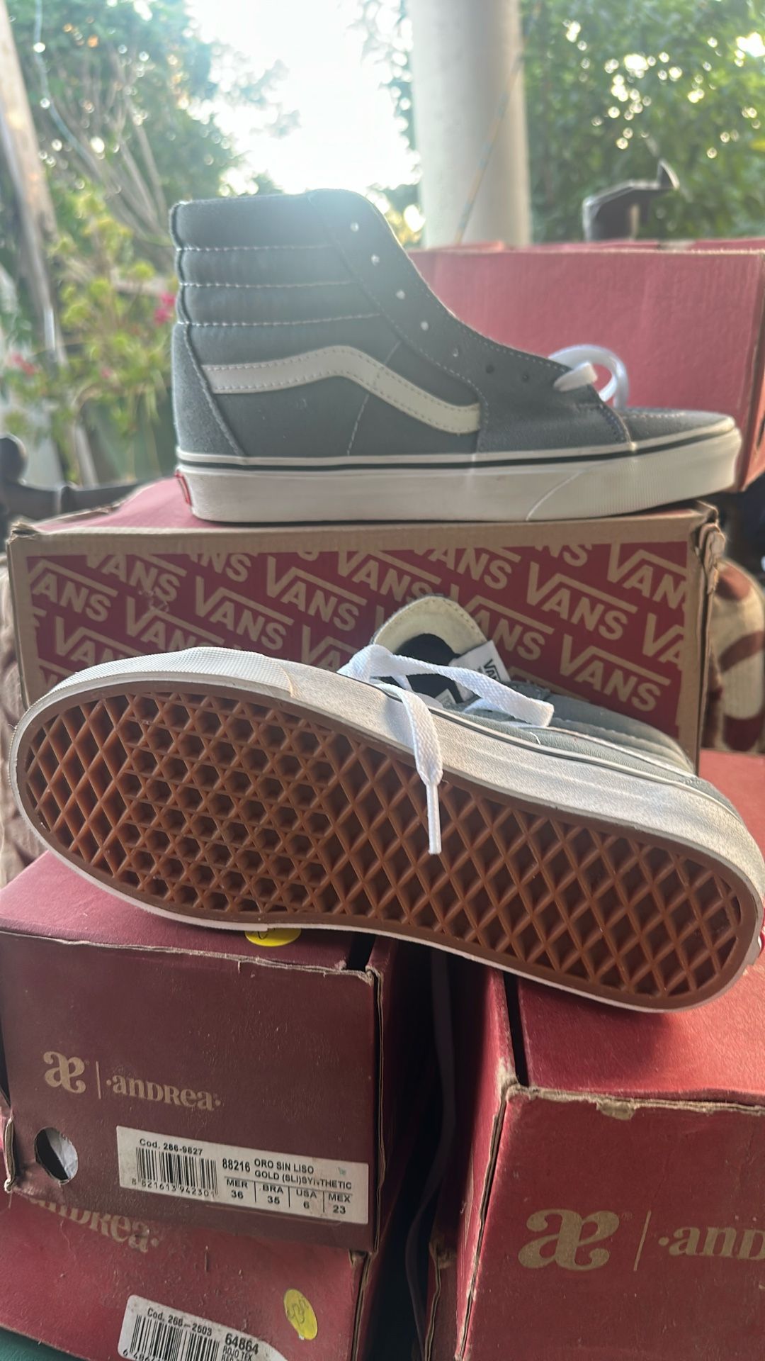 Vans Skateboarding Shoe