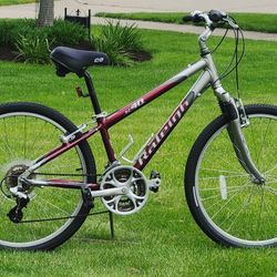 RALEIGH SPORT COMFORT BIKE - SMALL FRAME - NEW CLOUD 9 SEAT - NEW TIRES - TUNED