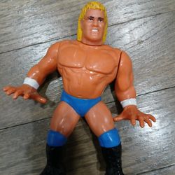 WWE  WWF Sid Justice Wrestling Action Figure 90s Hasbro $50 OBO 