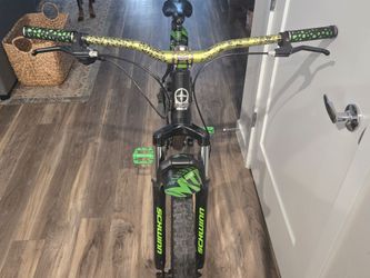 Schwinn Boundary 29"