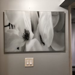 ALL 8 Beautiful Pictures For $100