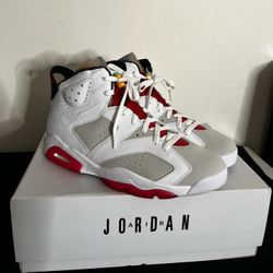 Men Size 12.5  2020 Air Jordan 6 Retro 'Hare'