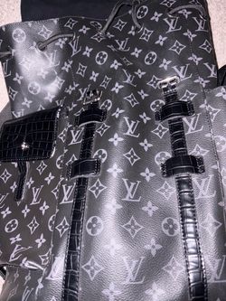 Louis Vuitton bag back