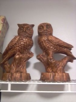 Owls
