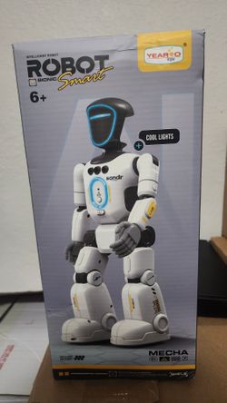 Toy Robot