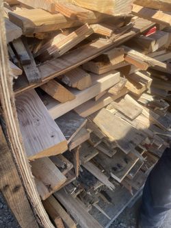 Wood For  Fire 🔥 Or Other  Projects Free