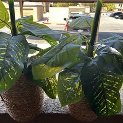 Artificial plants