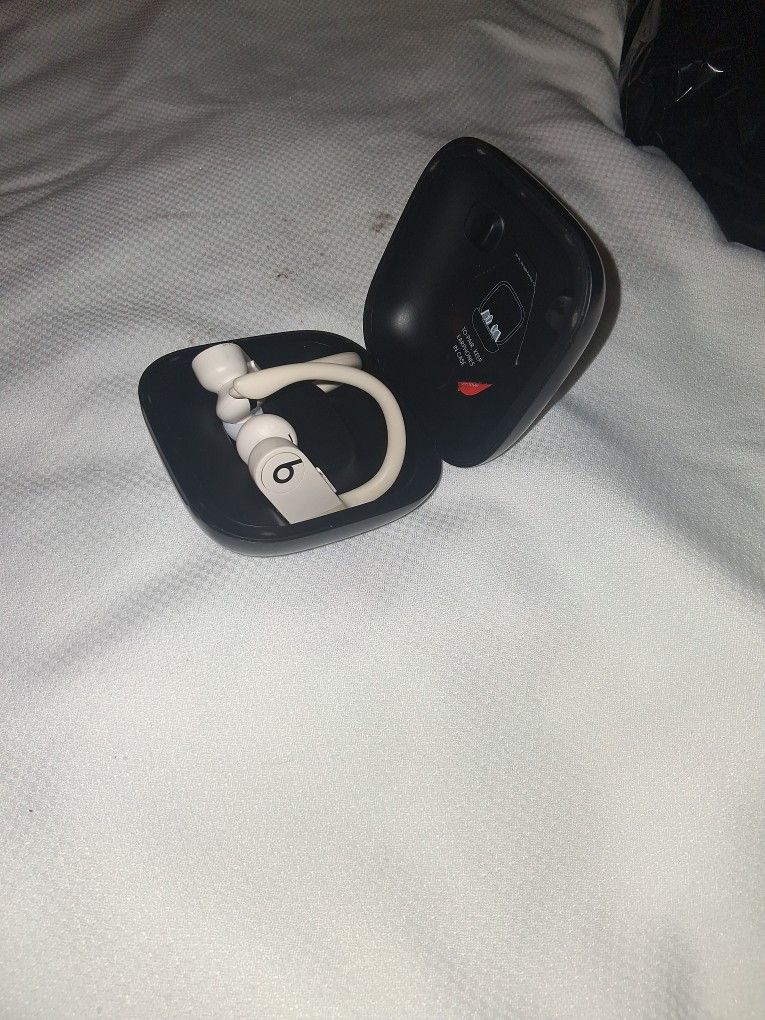 Beats by Dre Powerbeats Pro Earbuds 