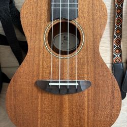 Ukulele (Donner) 