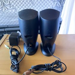 Computer Speakers 