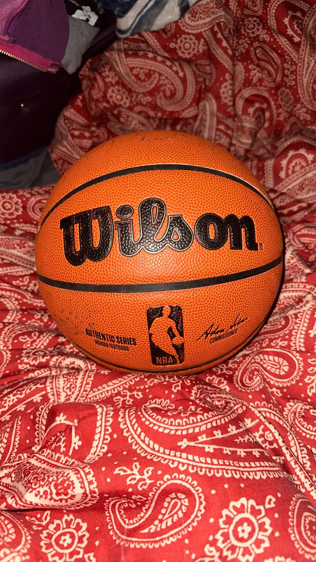authentic NBA Wilson Indoor Basketball