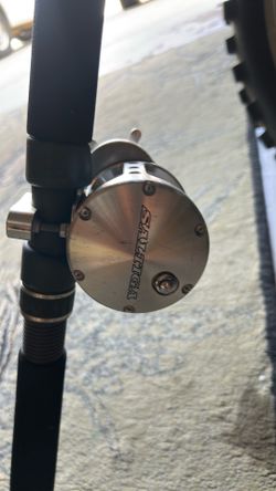 Daiwa  saltiga 40
