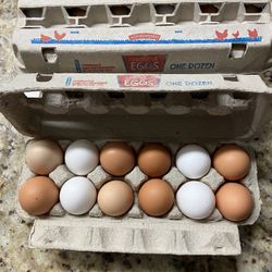 Fresh Eggs 