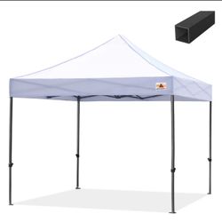 10 X 10 Canopy.