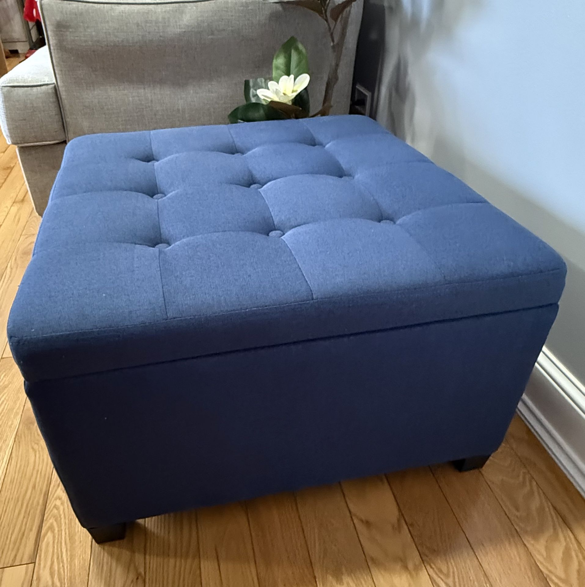 Blue Storage Ottoman Bench