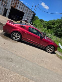 Mustang