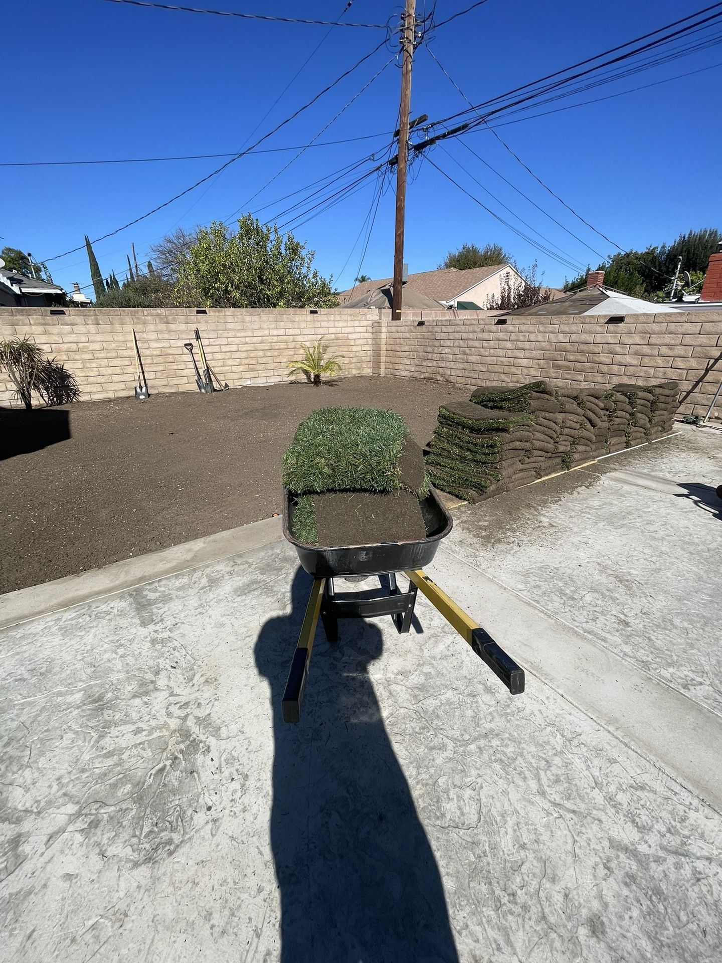 Grass And Sprinklers