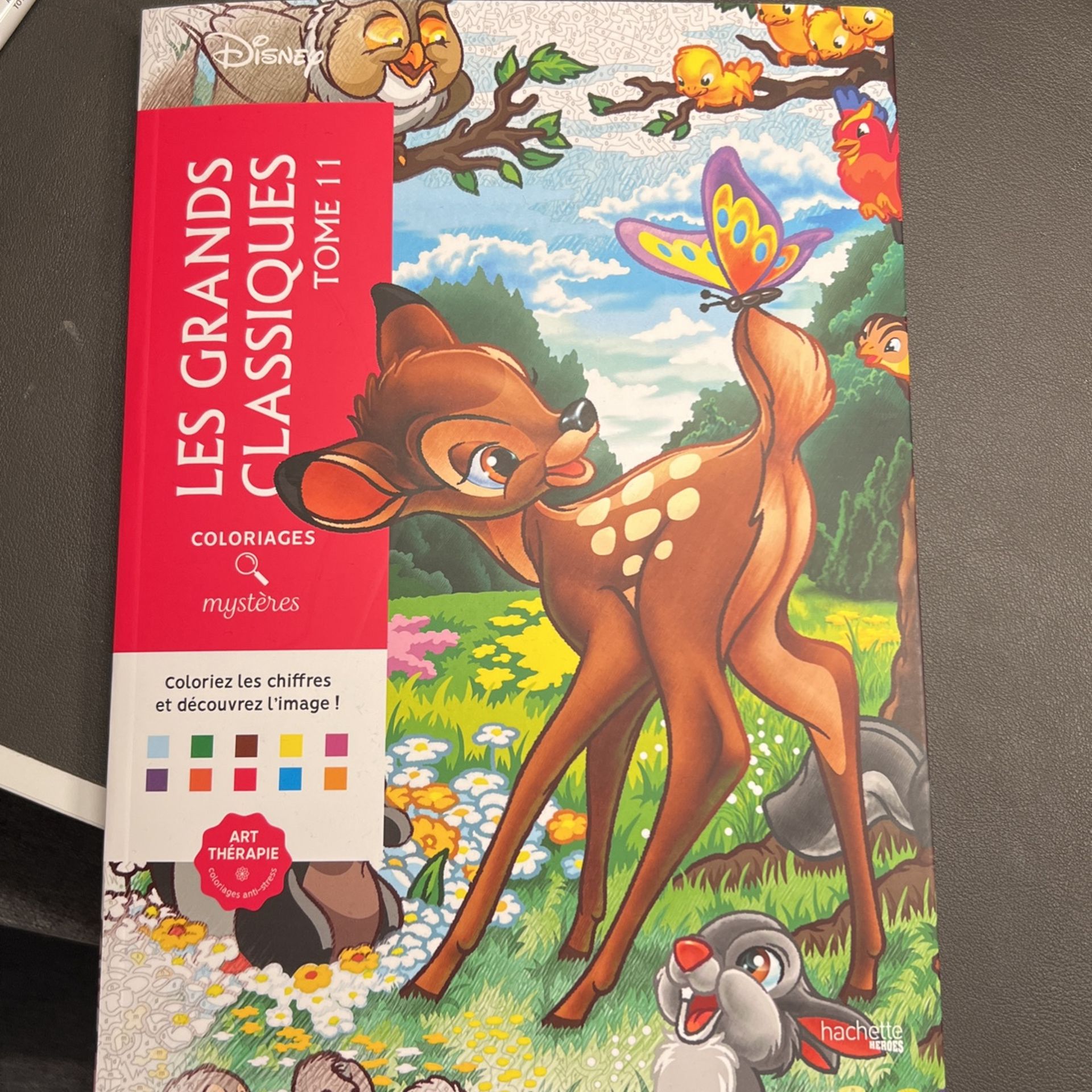 Coloriages Mysteries French Disney Coloring Book