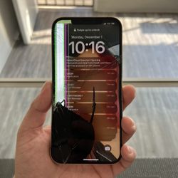 iPhone 12 Pro Max Front And Back 