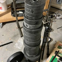 270lbs In Weights & Accessories 