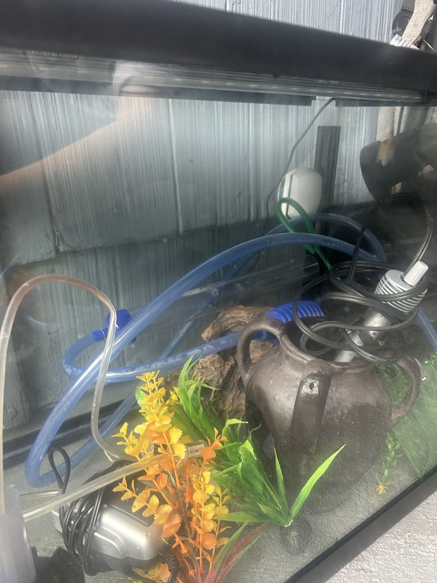 20 Gallon Aquarium With All That You Need