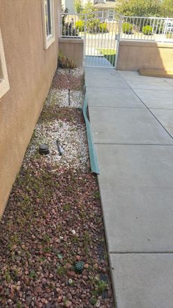 Free Rocks