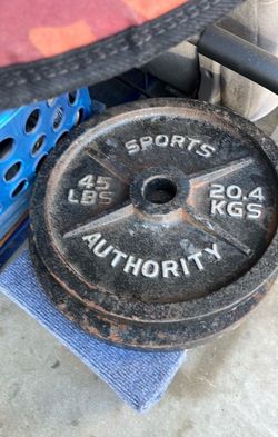 Two 45lb olympic Weight plates
