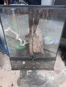 Exo terra reptile tank