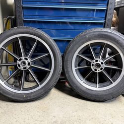 Harley Davidson FXR Mags- Contrast Cut Timken Bearing