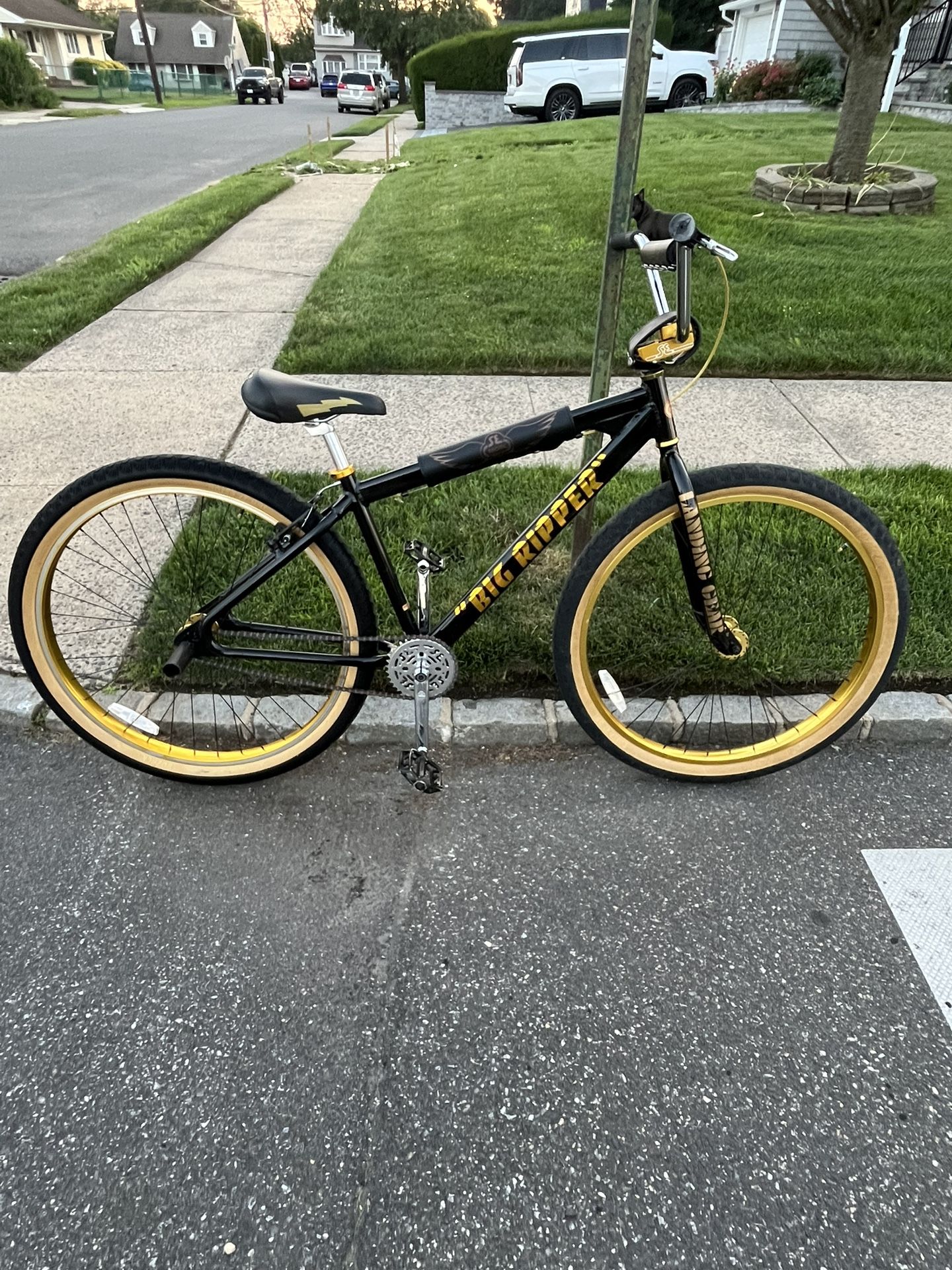 SE Bikes Big Ripper 29”
